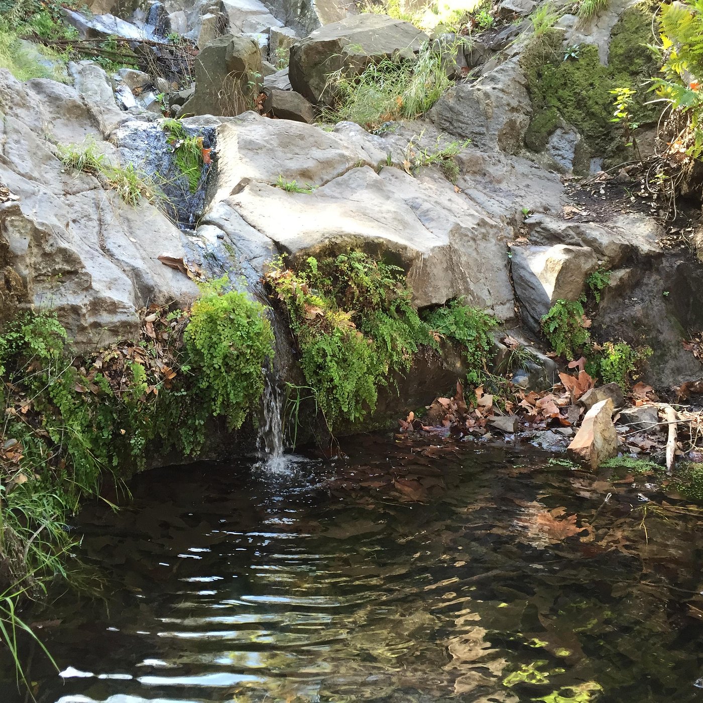 Newbury Park